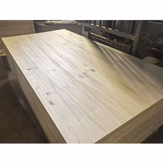 Tavola per bara in legno massello di paulownia